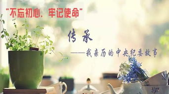 平原纪检 执纪问责非文艺创作，求真务实方显担当