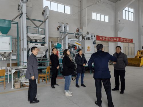 强化监管，护航春节农产品安全